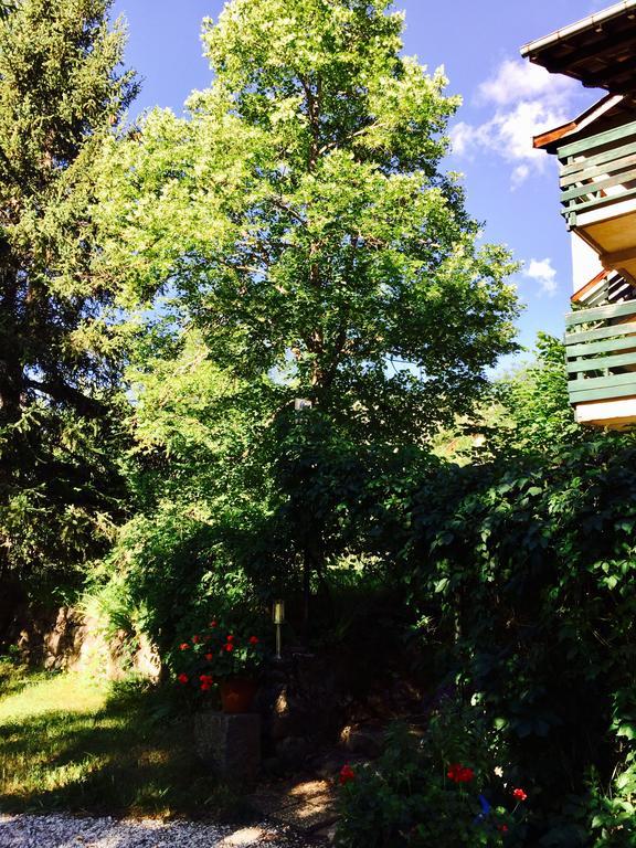 Hotel Du Verdon Beauvezer Екстер'єр фото